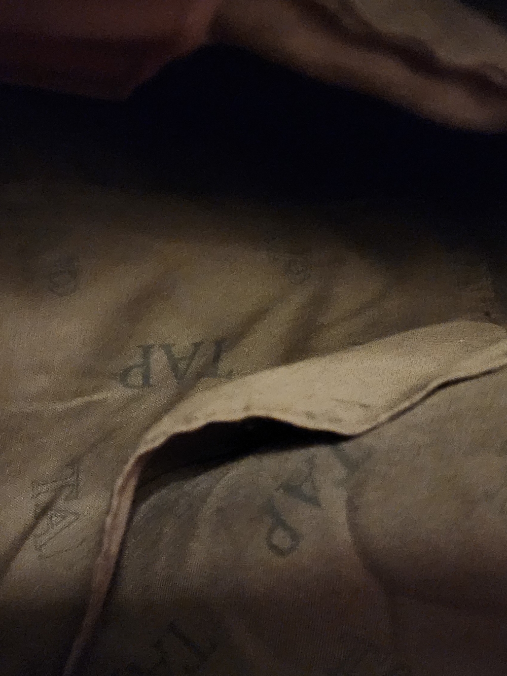 TAP Canvas Backpack in Tan - Picture 6 of 7